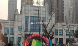重庆烂尾楼爆料视频,揭秘背后真相与困境