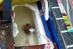 郑州甘蔗爆料事件真相视频,揭秘背后惊人内幕