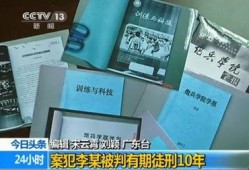 间谍公司爆料案件最新,神秘间谍活动惊现国际风云