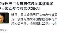 官方爆料缅北诈骗案件最新,官方披露惊人内幕